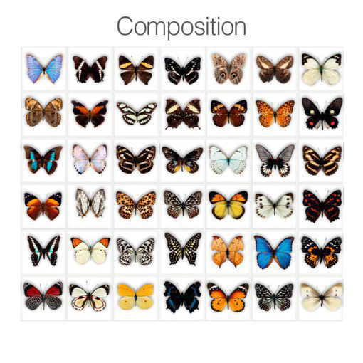 Butterfly Tiles Stickers - Composition