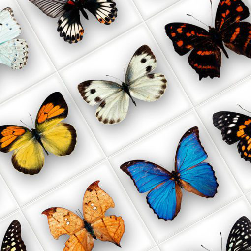 Butterfly Tiles Stickers - Detail