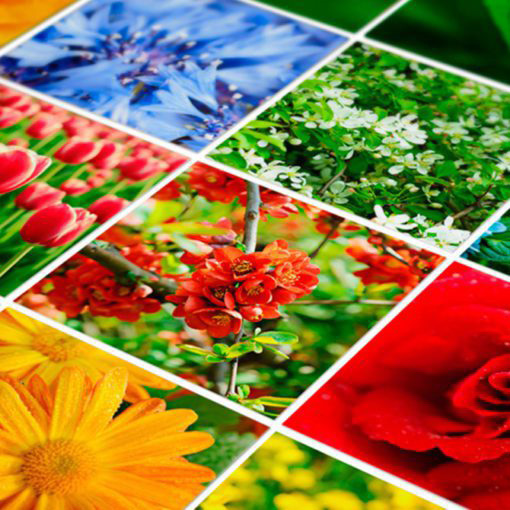 Stickers for Tiles Color Nature - Detail